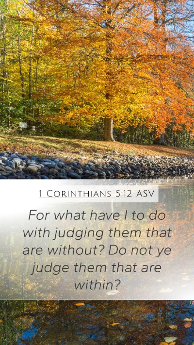 1 Corinthians 5:12 ASV Bible Verse Image