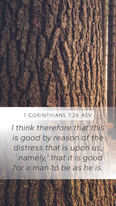 1 Corinthians 7:26 ASV Bible Verse Image