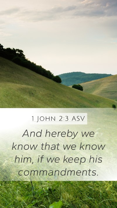 1 John 2:3 ASV Bible Verse Image