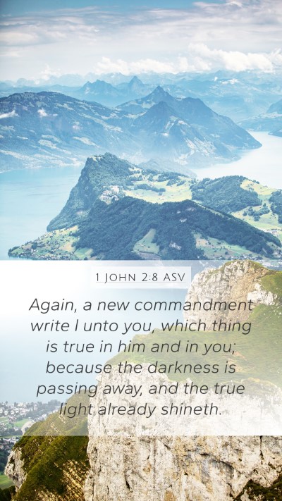1 John 2:8 ASV Bible Verse Image
