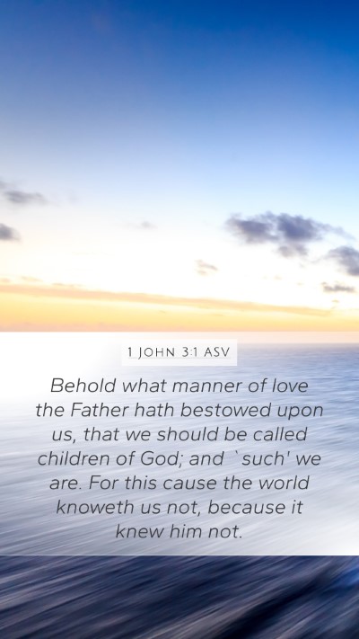 1 John 3:1 ASV Bible Verse Image