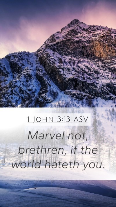 1 John 3:13 ASV Bible Verse Image