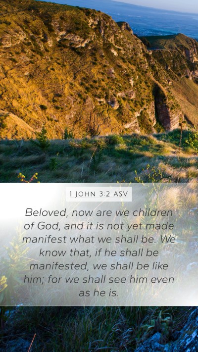1 John 3:2 ASV Bible Verse Image