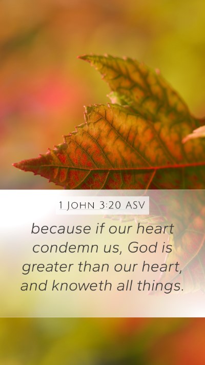 1 John 3:20 ASV Bible Verse Image