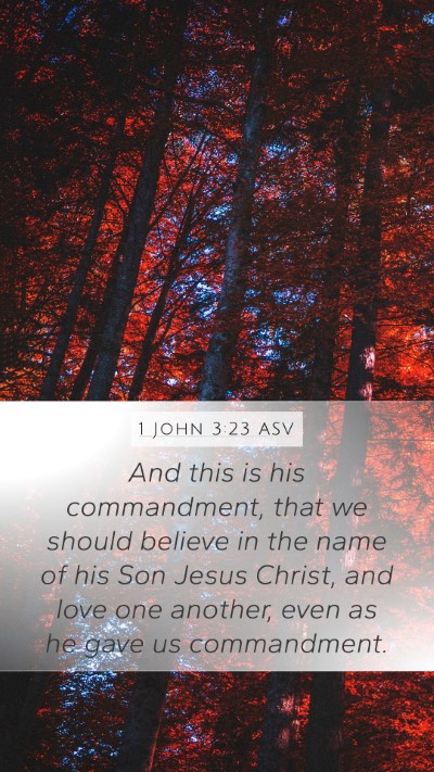 1 John 3:23 ASV Bible Verse Image