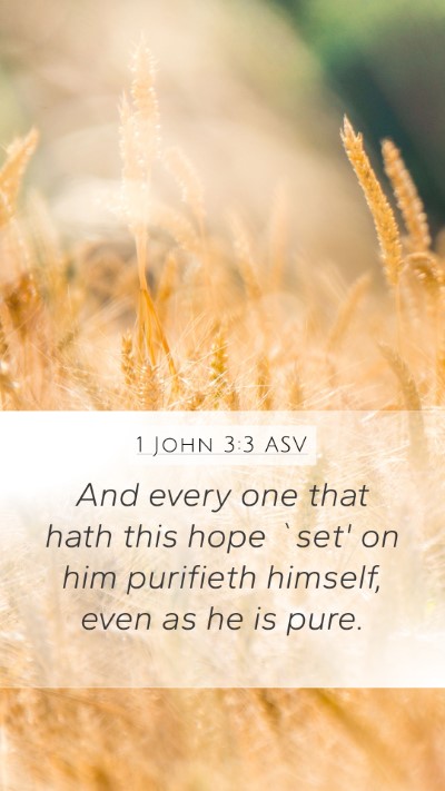 1 John 3:3 ASV Bible Verse Image