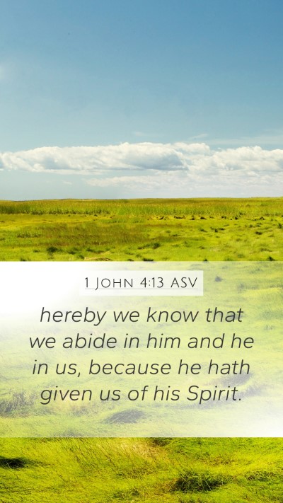 1 John 4:13 ASV Bible Verse Image