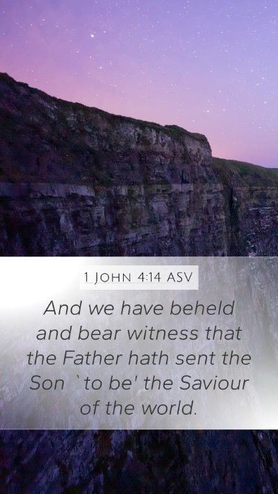 1 John 4:14 ASV Bible Verse Image