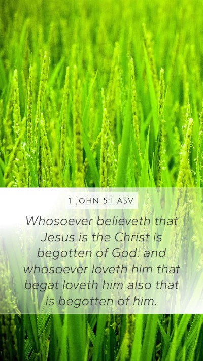 1 John 5:1 ASV Bible Verse Image