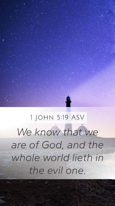 1 John 5:19 ASV Bible Verse Image