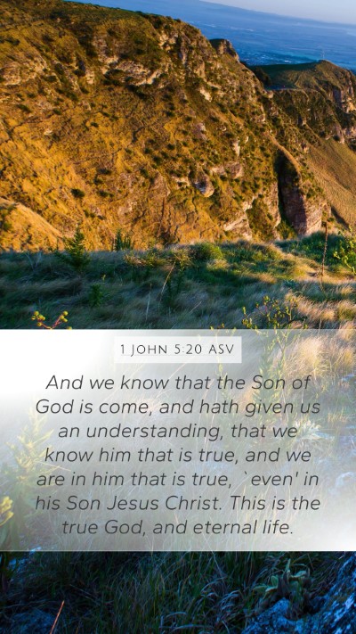 1 John 5:20 ASV Bible Verse Image