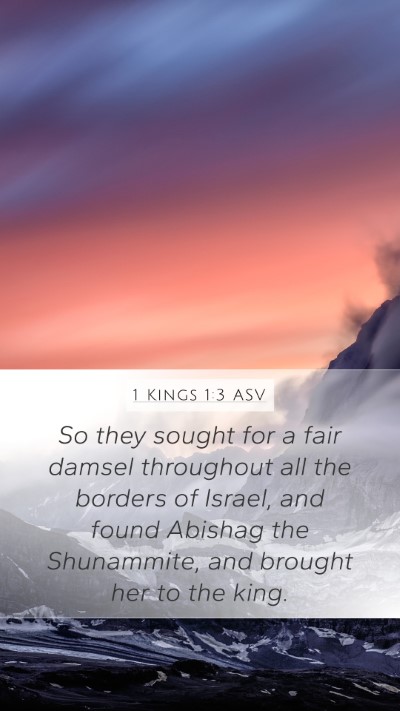 1 Kings 1:3 ASV Bible Verse Image