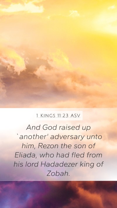 1 Kings 11:23 ASV Bible Verse Image
