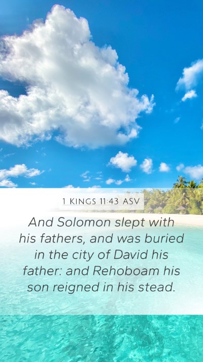 1 Kings 11:43 ASV Bible Verse Image