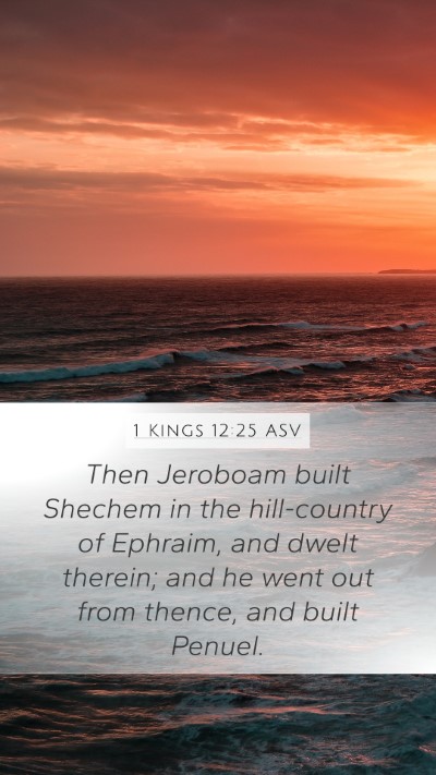 1 Kings 12:25 ASV Bible Verse Image