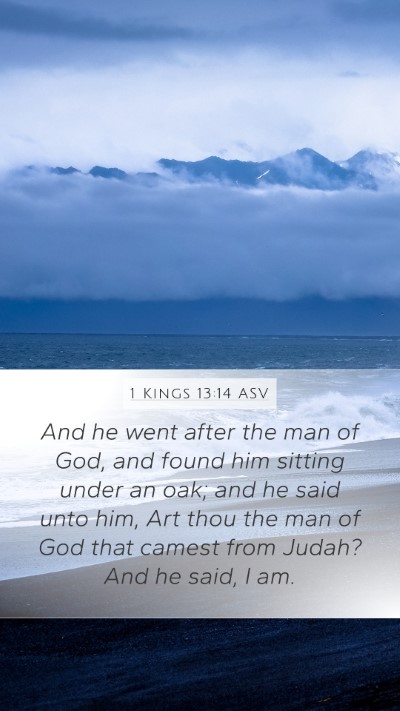 1 Kings 13:14 ASV Mobile Phone Wallpaper - And he went after the man of God, and found him - Mobile Bible Verse Wallpaper