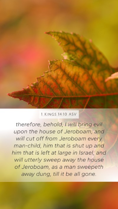 1 Kings 14:10 ASV Bible Verse Image