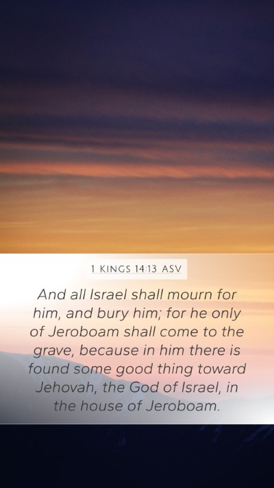 1 Kings 14:13 ASV Bible Verse Image