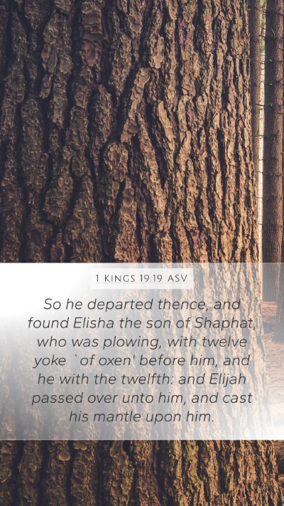 1 Kings 19:19 ASV Bible Verse Image