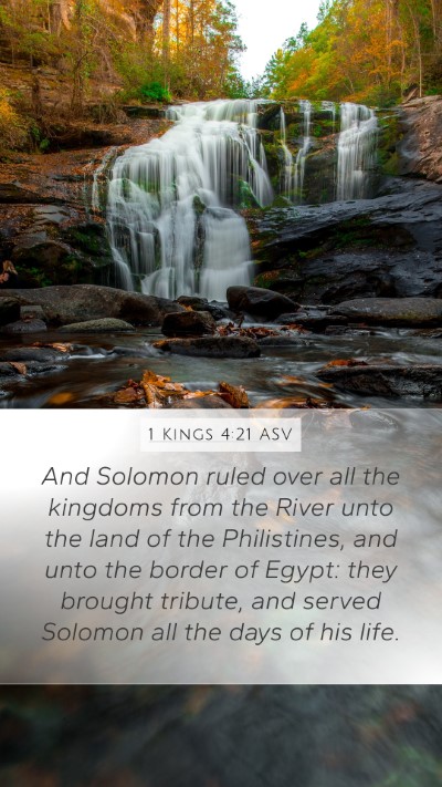 1 Kings 4:21 ASV Bible Verse Image