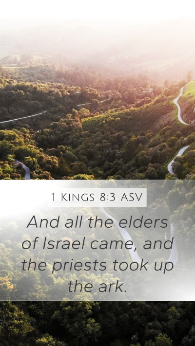 1 Kings 8:3 ASV Bible Verse Image