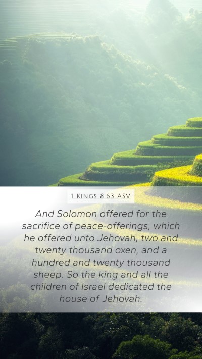 1 Kings 8:63 ASV Bible Verse Image