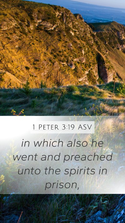 1 Peter 3:19 ASV Bible Verse Image