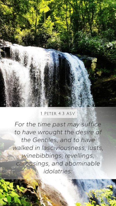 1 Peter 4:3 ASV Bible Verse Image