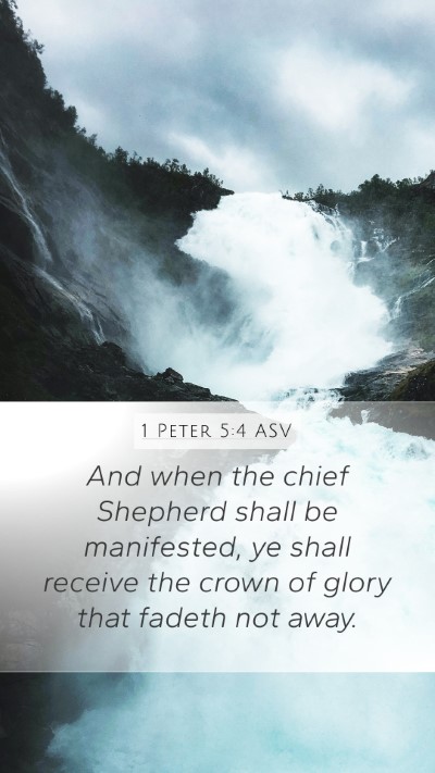 1 Peter 5:4 ASV Bible Verse Image