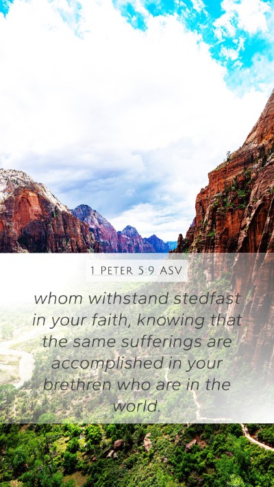1 Peter 5:9 ASV Bible Verse Image