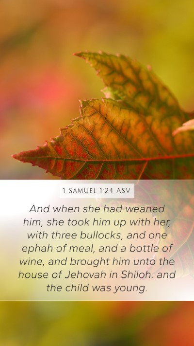 1 Samuel 1:24 ASV Bible Verse Image
