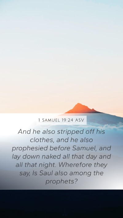 1 Samuel 19:24 ASV Bible Verse Image