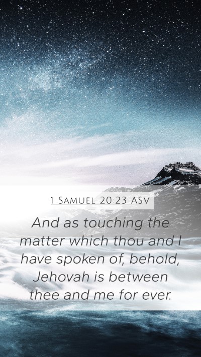 1 Samuel 20:23 ASV Bible Verse Image