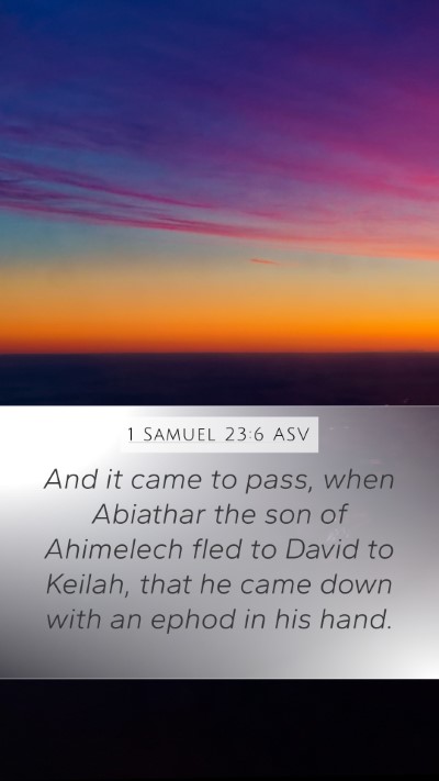 1 Samuel 23:6 ASV Bible Verse Image