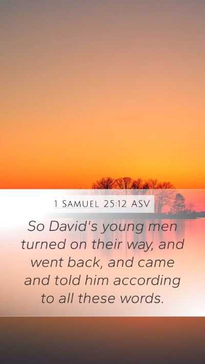 1 Samuel 25:12 ASV Mobile Phone Wallpaper - So David's young men turned on their way, and - Mobile Bible Verse Wallpaper