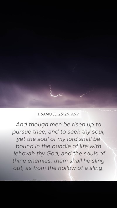 1 Samuel 25:29 ASV Bible Verse Image