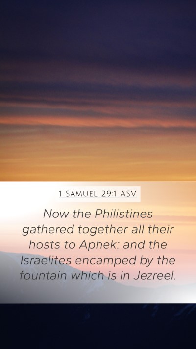 1 Samuel 29:1 ASV Bible Verse Image
