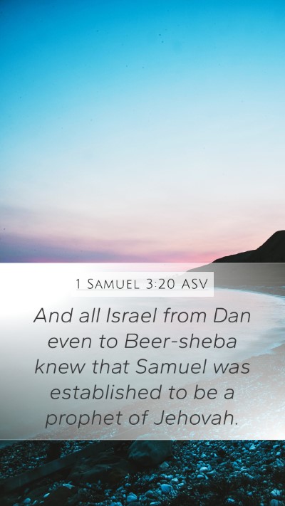 1 Samuel 3:20 ASV Bible Verse Image