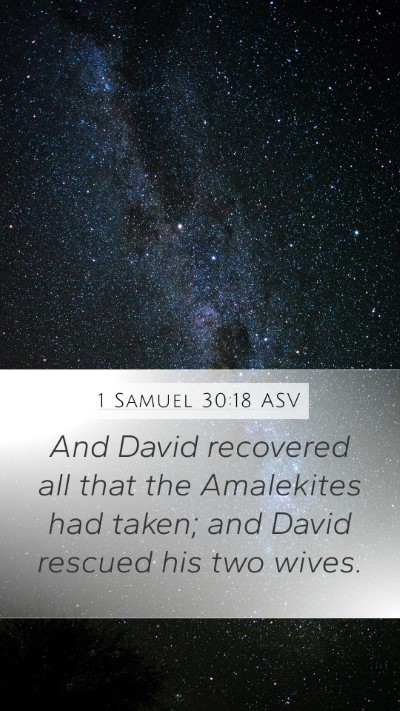 1 Samuel 30:18 ASV Bible Verse Image