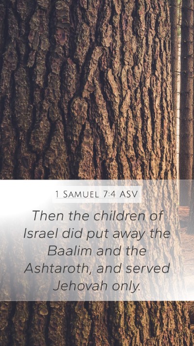 1 Samuel 7:4 ASV Mobile Phone Wallpaper - Then the children of Israel did put away the - Mobile Bible Verse Wallpaper