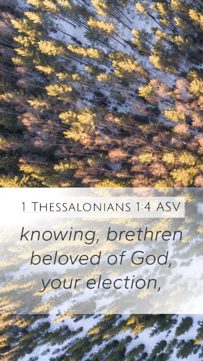 1 Thessalonians 1:4 ASV Bible Verse Image