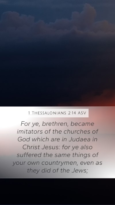 1 Thessalonians 2:14 ASV Bible Verse Image