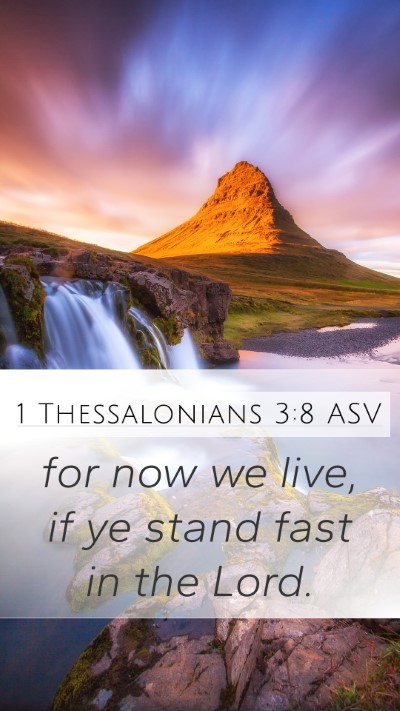 1 Thessalonians 3:8 ASV Bible Verse Image