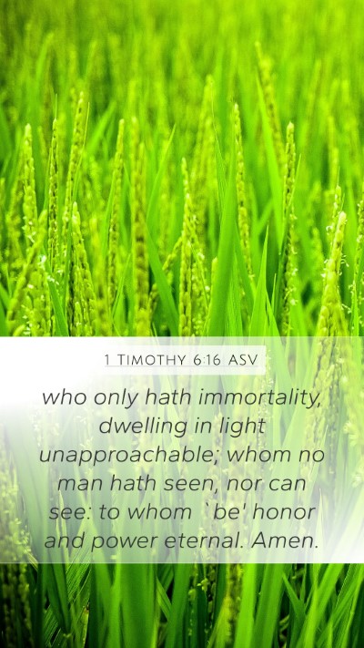 1 Timothy 6:16 ASV Bible Verse Image