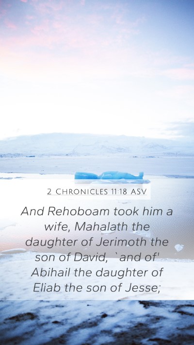 2 Chronicles 11:18 ASV Bible Verse Image