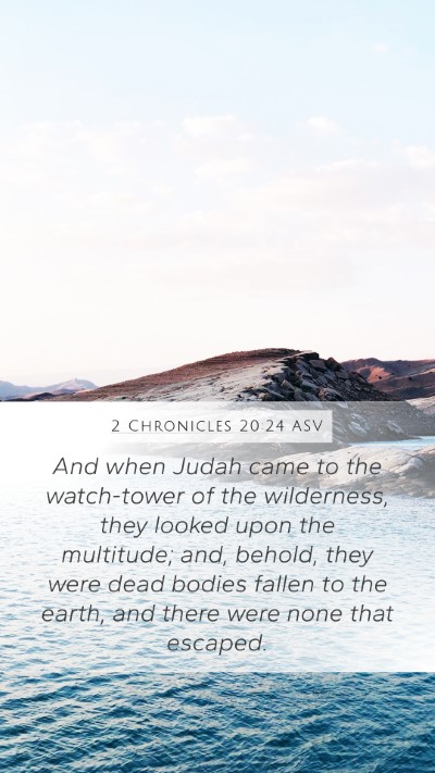 2 Chronicles 20:24 ASV Bible Verse Image