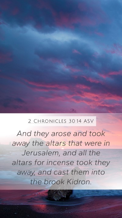 2 Chronicles 30:14 ASV Bible Verse Image
