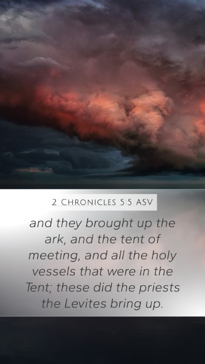 2 Chronicles 5:5 ASV Mobile Phone Wallpaper - and they brought up the ark, and the tent of - Mobile Bible Verse Wallpaper
