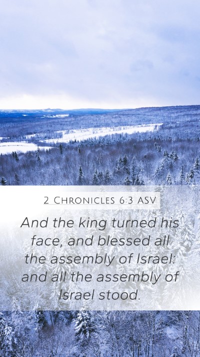 2 Chronicles 6:3 ASV Bible Verse Image