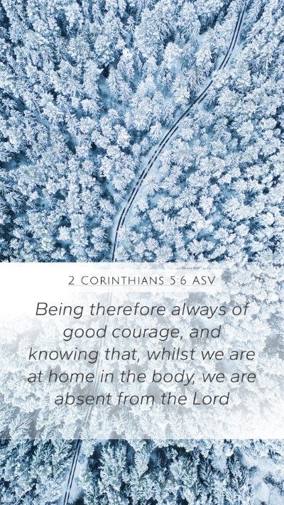2 Corinthians 5:6 ASV Bible Verse Image